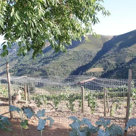 Maison d'hôtes Quinta Pedreira Dos Anjos Provesende