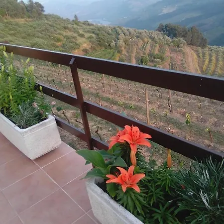 Quinta Pedreira Dos Anjos Provesende