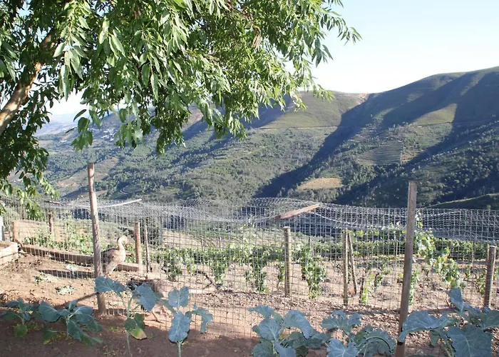 Penzion Quinta Pedreira Dos Anjos Provesende