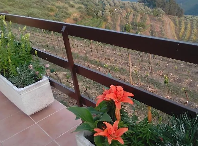 Quinta Pedreira Dos Anjos Provesende